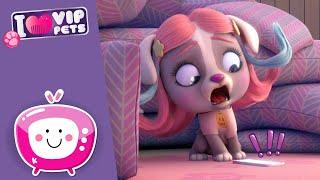 HALLOWEEN  Do not be scared  VIP PETS  New Episode  Cartoons for KIDS in ENGLISH