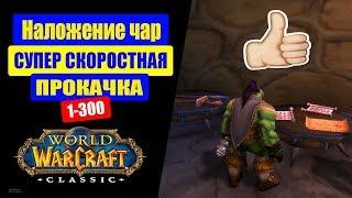 WoW CLASSIC | Гайд Наложение чар 1-300 Супер быстрая прокачка