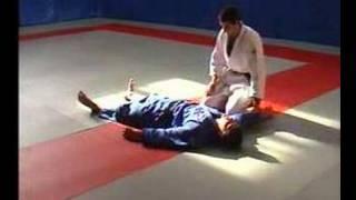 Yoko-shiho-gatame