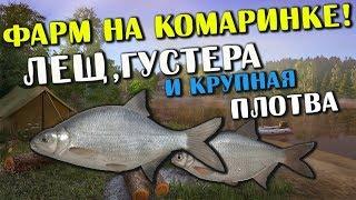 РУССКАЯ РЫБАЛКА 4. Фарм серебра на Комарином. Лещ, Густера и Плотва на озере Комариное.