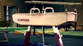 Gymnastics Apparatus - Pommel Horse