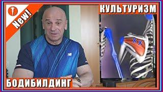 Боль в спине. Боль в пояснице. Боль в плече. Боль в ноге. Боль в колене. Боль в локте. Боль в теле