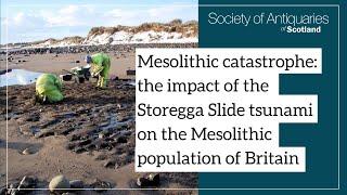 The impact of the Storegga Slide tsunami on the Mesolithic population of Britain