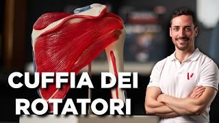 Cuffia dei rotatori: anatomia e funzioni