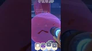 Cotton  Pink Largo Slime Rancher 2 #shorts #shortvideo #slimerancher2 #slimerancher #games