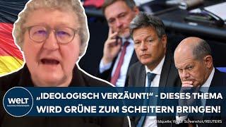 MIGRATION: "Ideologisch verzäunt!" - Grüne sehen Bedenken bei Zurückweisungen an deutscher Grenze!