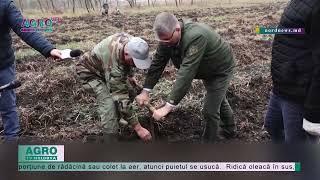 Unii taie, alții sădesc. Campania „Plantează-ți viitorul”, la Glodeni – AGRO TV News