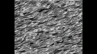 The ephemeral development of C' shear bands by Melanie Finch (Monash University, AU)