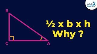 Area of Triangle = ½ x b x h  Why? | Fun Math | Don't Memorise