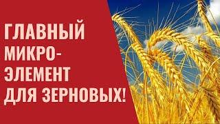 Дефицит Марганца у Пшеницы, Ячменя и Овса. Влияние марганца на урожай зерновых. Микроудобрения