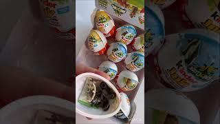 Kinder Joy #shorts #asmr #kinderjoy #kinderjoysuprise #kindersurprise #kinder #asmrchocolate