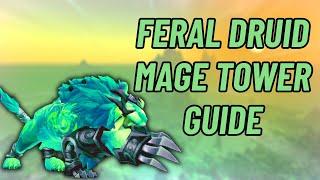 Feral Druid | Mage Tower Guide | World of Warcraft