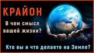 КРАЙОН - В чем смысл жизни человека? Что человек делает на земле? Kryon Тамара Шмидт