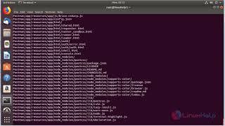 How to perform Postman Source Installation on Ubuntu 18.04