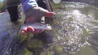 Fishing in Clackamas County Lakes and Rivers