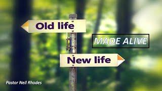 Made Alive: Old Life vs New Life