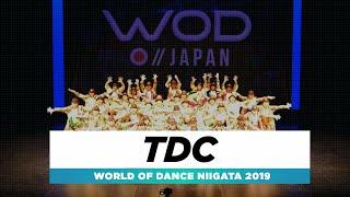 TDC | 1st Place Team | World of Dance Niigata 2019 | #WODNiigata19