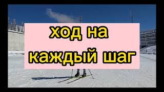 Коньковый ход на каждый шаг. Семь основных ошибок #лыжи