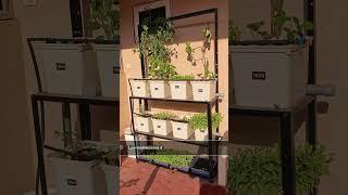 Start your journey to a green heaven. #tefaiscommunity #tefais #lifestyle #hydroponics  #garden