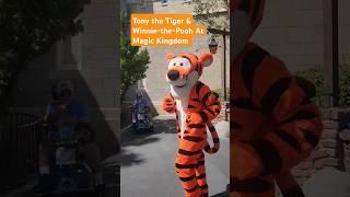 Tigger  the Tiger & Winnie-the-Pooh At Disney's Magic Kingdom