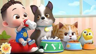 My pet song | my kitty and puppy | Oly Cartoon TV animal songs | kids songs & nursery rhymes