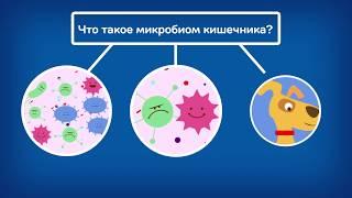 Hill's Prescription Diet Gastrointestinal Biome с технологией ActivBiome+ собаки, 1 мин. 17 сек.