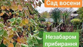 САД ВОСЕНИ ДО ПРИБИРАННЯ!