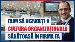 Cum dezvolti cultura organizationala intr-o companie