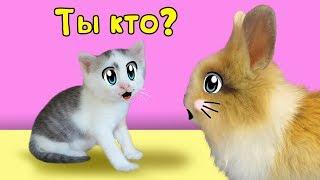 МАЛЮТКА КОТЕНОК и КРОЛИК БАФФИ знакомство ! КОТ МАЛЫШ  и КОШЕЧКА МУРЗЯ