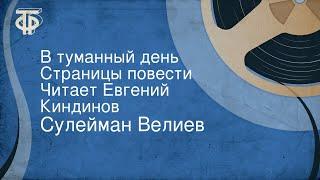 Сулейман Велиев. В туманный день. Страницы повести. Читает Евгений Киндинов