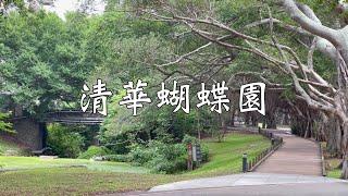 清華蝴蝶園 2021-5-1