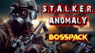 Вот это пушки! Серия 1. Stalker BossPack