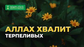 Аллах хвалит терпеливых | Абу Яхья Крымский