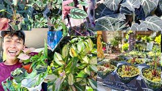 Rare & Uncommon Plants, Shopping at Rainbow Gardens | Lets Go Plant Shopping at a Local Nursery