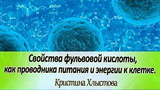 Свойства фульвовой кислоты, как проводника питания и энергии к клетке | Кристина Хлыстова