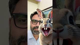Rabbit Puzzle  #rabbit #rabbitpuzzle #sandeepbarouli