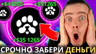 ️ PAWS 🟢 РАЗДАСТ БОЛЬШЕ ЧЕМ DOGS 🟢 ПАВС САМЫЙ ПРОСТОЙ ЗАРАБОТОК 🟢 ПРОСТО ЗАЙДИ И ЗАБЕРИ СВОИ ДЕНЬГИ