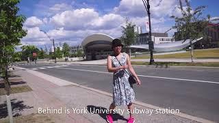 (Part 1)York University: Kham pha Canada