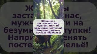 Анекдот вечерком)  #прикол #юмор #шортс #shortscomedy #анекдоты #угар #умора #ржака #shortshumor