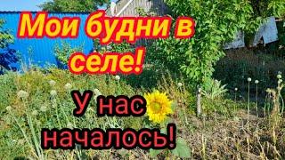 ЖИВЁМ В СЕЛЕ! НАЧАЛОСЬ!МОИ БУДНИ В СЕЛЕ!