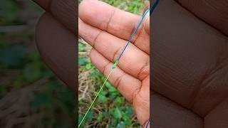 Best Braid to fluorocarbon Knot #braid #mono #fluorocarbon #knot #fishingknot #tutorial #tips