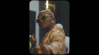 Portable ft Small Doctor - Neighbour [Video]