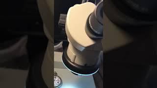 DSZ-70 Stereo Microscope Review