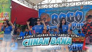 CIINAN BANA Lagu Djandut ROGO SAMBOYO PUTRO Terbaru️