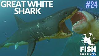 Feed And Grow Fish : Great White Shark