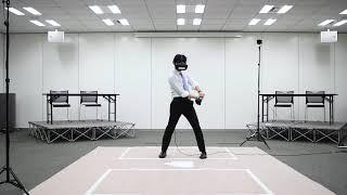 VR Dream Match Baseball (AOI Pro) - Vive