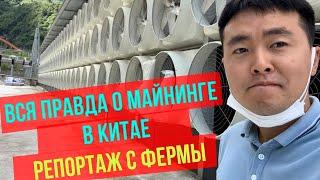 Огромная китайская МАЙНИНГ ферма ПРОСТАИВАЕТ. Срочная распродажа оборудования для майнинга 2021 ВЛОГ