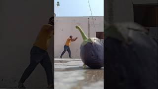 Magical videography ideas with बेंगन  Amazing mobile photoediting tricks #shorts #edit #creative