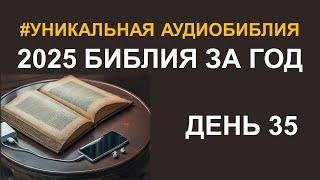 День 35.  Библия за год.  Библейский ультрамарафон портала «Иисус»