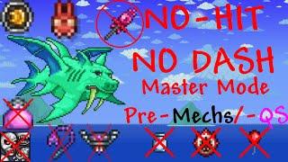 Duke Fishron No-Hit on master mode without dash and double jump premechs and pre-Queen Slime as mage